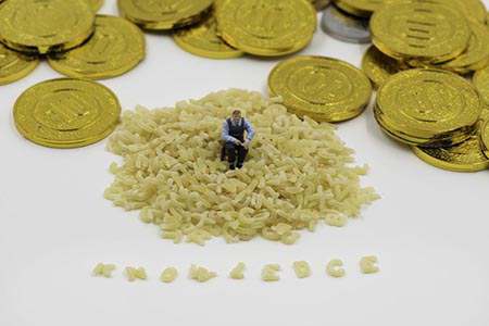 期货玉米行情目前走势(期货玉米行情目前走势如何)